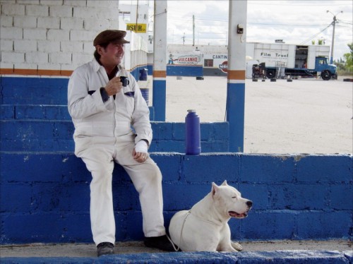 Bombon El Perro